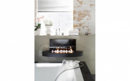 Настенный биокамин Spartherm Ebios-fire Elipse Wall Настенный биокамин Spartherm Ebios-fire Elipse Wall по цене 106 200 руб.