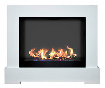 Биокамин ZeFire Вистан