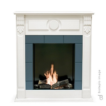 Биокамин Bioteplo Swan