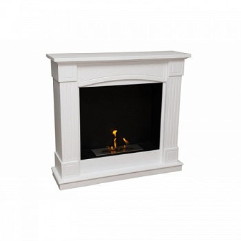 Биокамин FireBird Олимпия